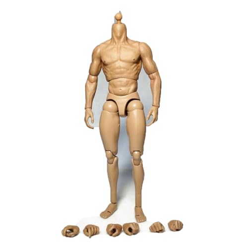 VUSLB 1:6 Scale Mann ActionFigurn Body 12 inch Europe Skin Muscle Flexible Mann Figur Body Doll Miniature Man militär Figur Without Kopf von VUSLB