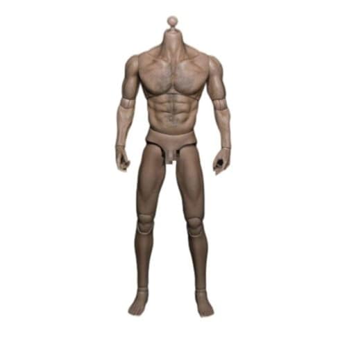 VUSLB AT012 1/6 Scale Muscle Mann militär Body 12in Flexible Wide Shoulder ActionFigurn Doll Miniature Figur Body Collection von VUSLB