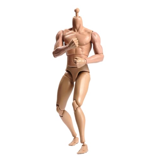 VUSLB TQ230 1/6 Scale Mann militär Muscular Body Model 12inch Flexible ActionFigurn Body Asia Skin Long Neck Miniature Doll Collectible von VUSLB