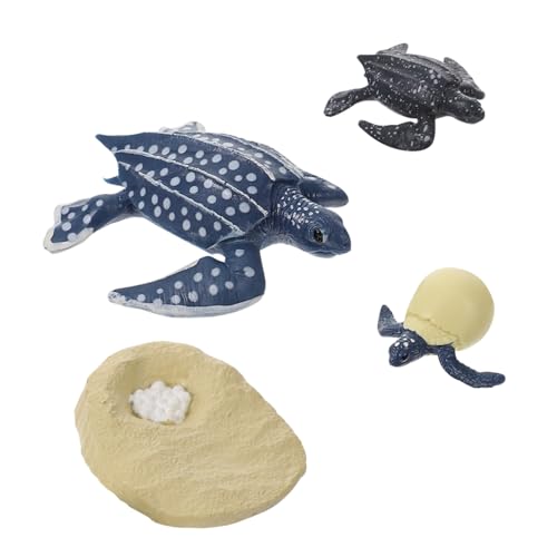 Vaguelly 1 Satz Kognitives Modell des Lebens Schildkröten-Figur-Spielzeug Wachstumszyklus Spielzeug schildkröte Spielzeug schildkröten Spielzeug Kognitives Spielzeug für Kinder Lehrmittel von Vaguelly