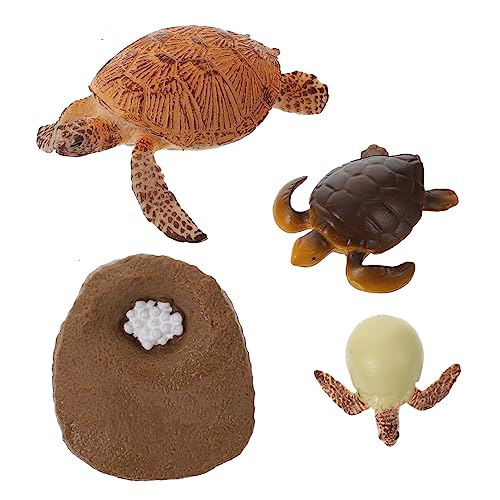 Vaguelly 1 Set Kognitives Modell des Lebens Turdle Spielzeug Schildkröte Modell Spielzeug Kaulquappe Meeresschildkröte Eier Lebenszyklus Kit Schildkröte Spielzeug Schildkröte Ei von Vaguelly