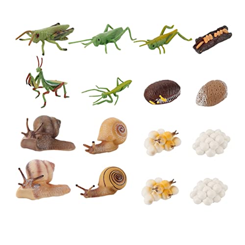 Vaguelly 16St Modell des Wachstumszyklus tierisches Wachstumsmodell Lernspielzeug Haustiermodell kindergeschenk adventsgeschenke Kinder Kindergarten-Tool Evolutionsmodell der Tiere Abs von Vaguelly