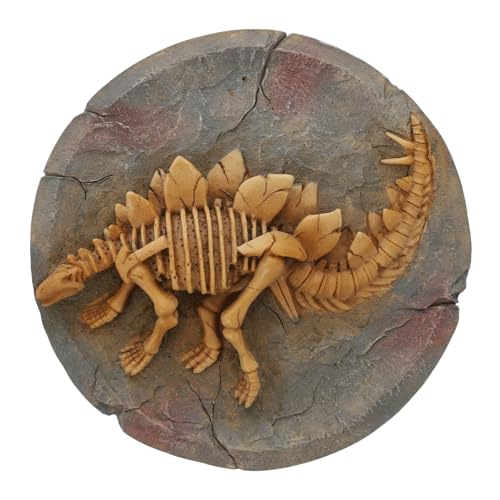 Vaguelly 6 Stück Dinosaurier Fossil Modell Wanddekoration Für Zuhause Wanddekoration Dinosaurier Fossil Wandkunst Dinosaurier Skelett Statue Kreative Dinosaurier Fossil von Vaguelly