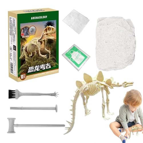 Dino Digging Kit, Dinosaur Skeleton Fossil Excavation Toys, Skeleton Excavation Kit, Buildable Dino Fossil Puzzle Models for Kids, Toddler Boys and Girls, Educational Dino Dig Toy von Veasbuu