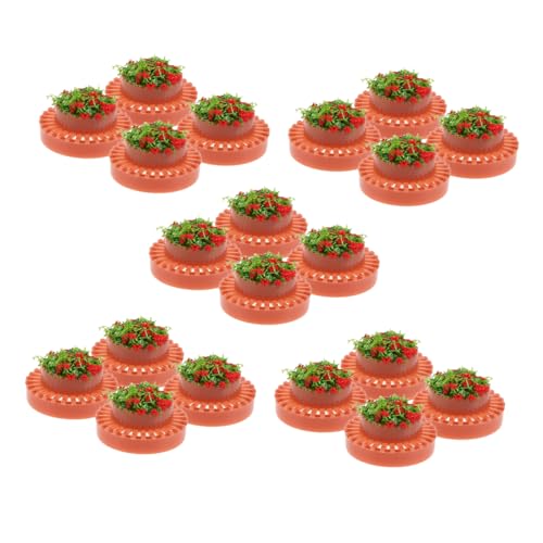 Veemoon 20 Stück Kunststoff Mini Blumentöpfe Realistische Mini Garten Dekoration für Puppenhaus Sandtisch Landschaft Kleine Pflanzgefäße für Modellbau Veemoon 20 Stück Kunststoff Mini Blumentöpfe Realistische Mini Garten Dekoration für Puppenhaus Sandtisch Landschaft Kleine Pflanzgefäße für Modellbau von Veemoon