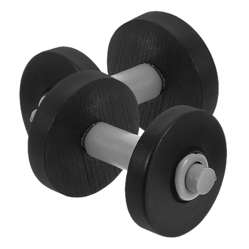 Veemoon 2Pcs Miniatur -Hantelmodell Für Mikrolandschaft Mini Größe Realistische Detaillierte Mini -Dumbbell -Modelle Dollhouse Fitness Requisiten von Veemoon