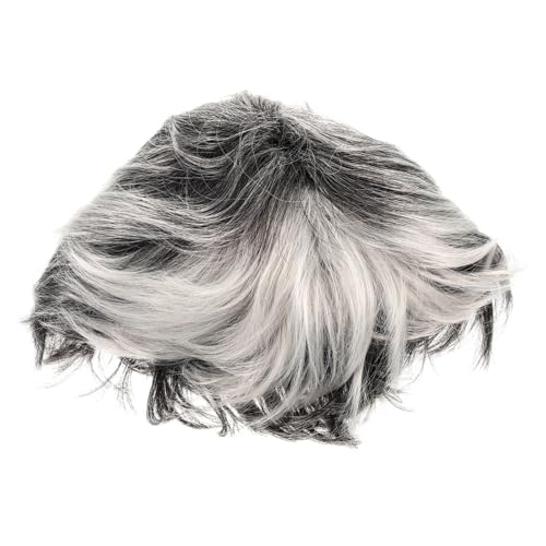 Veemoon Realistische Damen Perücke Kurz Lockig Weiß Flauschige Old Lady Cosplay Perücke für Karneval und Bühnenauftritte Leichtes Detailreiches Kostümzubehör für Erwachsene Veemoon Realistische Damen Perücke Kurz Lockig Weiß Flauschige Old Lady Cosplay Perücke für Karneval und Bühnenauftritte Leichtes Detailreiches Kostümzubehör für Erwachsene von Veemoon