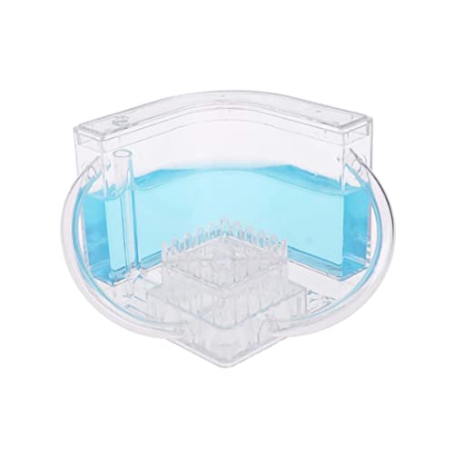 Ant Farm Ant Works Farm Castle Ameisenhaus aus transparentem Kunststoff für Kinder Lernspielzeug Lernressourcen Blauer Insektenfänger für Kinder von Veesper