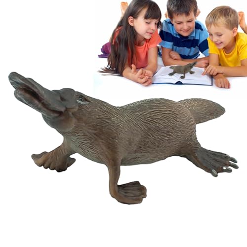 Veeteah Schnabeltier Abbildung - Realistische Schnabeltier-Spielzeugfigur | Schnabeltier-Modell, Wildtierfiguren, Desktop-Dekorationssammlung, Partybevorzugungen, Spielzeug für, Mädchen, Kinder Veeteah Schnabeltier Abbildung - Realistische Schnabeltier-Spielzeugfigur | Schnabeltier-Modell, Wildtierfiguren, Desktop-Dekorationssammlung, Partybevorzugungen, Spielzeug für, Mädchen, Kinder von Veeteah