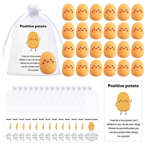 VercanMonth 24 Sets Inspirierende Positive Obst Stress Ball Mitarbeiter Wertschätzung Geschenk Obstkarten Organzabeutel Schulanfang Geschenk (Kartoffelstil) von VercanMonth