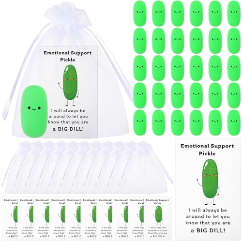 VercanMonth 30 Sets Inspirierende Positive Fruit Stress Ball Bulk Emotionale Unterstützung Mitarbeiter Wertschätzung Geschenk Bulk Karten Taschen (Pickle Style) von VercanMonth