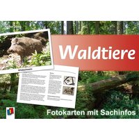 Waldtiere - Fotokarten mit Sachinfos von Verlag an der Ruhr