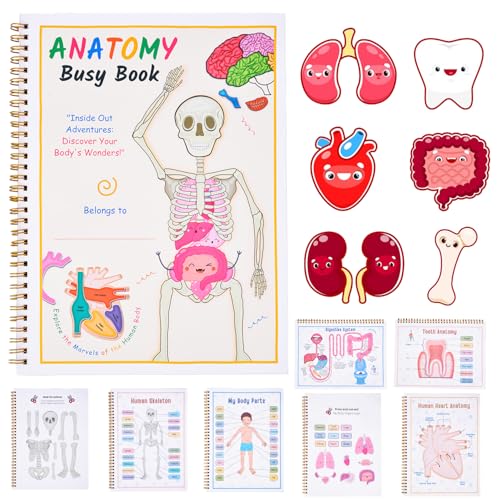 Vibbang Human Anatomy Busy Book (A) von Vibbang