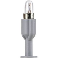 Viessmann Modelltechnik 6832 Spezialglühlampe Klar E5.5 1St. von Viessmann Modelltechnik