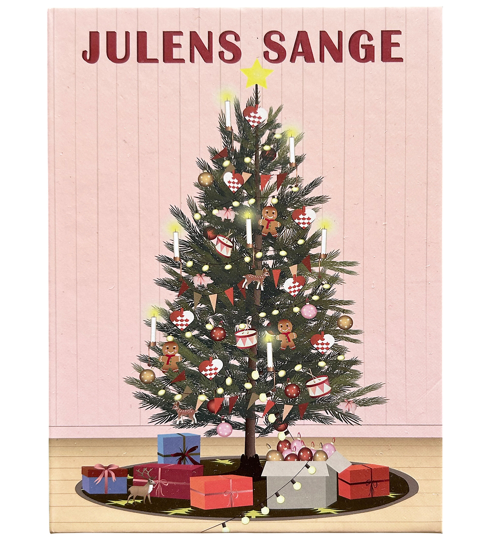 Vissevasse Liederbücher - Weihnachtslieder - Box m. 15 Liederbüc - Vissevasse - One Size - Bücher Vissevasse Liederbücher - Weihnachtslieder - Box m. 15 Liederbüc - Vissevasse - One Size - Bücher von Vissevasse