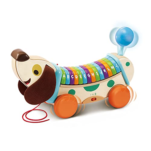 VTech 615205 Baby Chien musikalischer Hund, Mehrfarbig, Kinder von Vtech