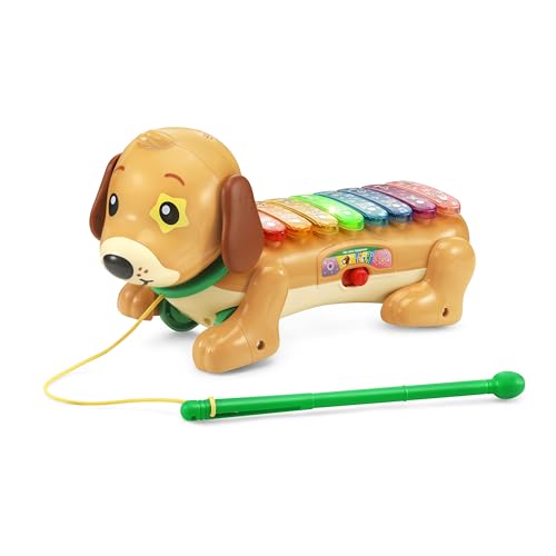 VTech Zoo Jamz Doggy Xylophon (80-571000) von Vtech