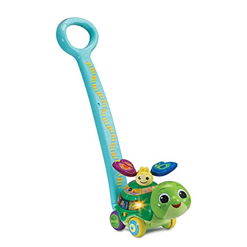 VTech 80-547604 Schiebespaß-Schildkröte Babyspielzeug, Mehrfarbig von Vtech