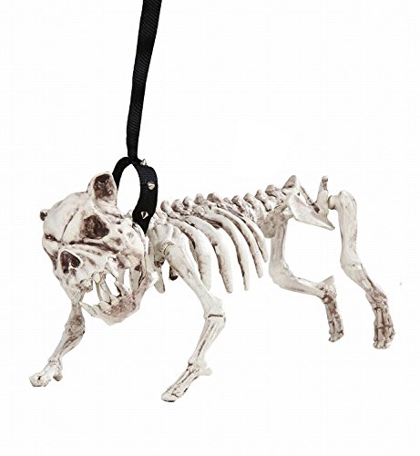 W WIDMANN MILANO Party Fashion 01373 - Skelett Hund mit Leine, 45 cm, Partydekoration, Halloween, Karneval, Mottoparty von W WIDMANN MILANO Party Fashion