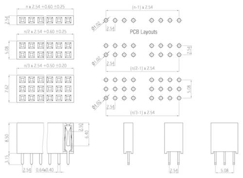 W & P Products Buchsenleiste (Standard) Anzahl Reihen: 1 Polzahl je Reihe: 40 157-40-1-00 von W & P Products