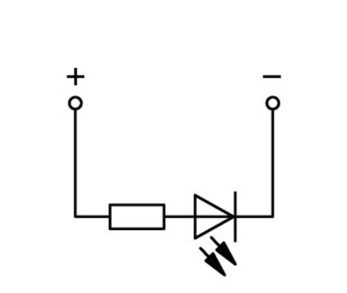 WAGO 769-239/281-434 Basisklemme 5mm Zugfeder Belegung: L Grau 100St. von WAGO