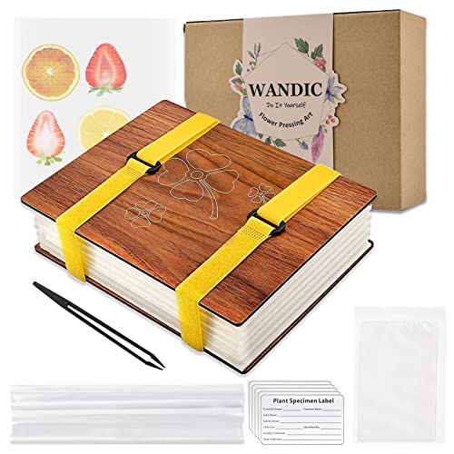 WANDIC Vierblättriges Kleeblatt-Blumenpresse-Set, Holzkunst-Set, Pflanzenpresse, Buch, Blume, Obstpresse, Kit für DIY Kunsthandwerk, Exemplare im Freien Lernen von WANDIC