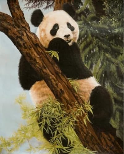 Rätsel 1000 Stück, Animal Panda, Art Jigsaw, Erwachsene Familie Spiels Educational Spielzeug Posters BE492KA von WDZFF