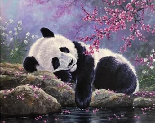 Rätsel 1000 Stück, Animal Panda, Art Jigsaw, Erwachsene Familie Spiels Educational Spielzeug Posters BE495KA von WDZFF