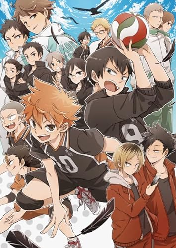 WDZFF Puzzle 1000 Stück Anime Haikyuu!!! Poster Für Puzzle Familie Stressabbau Spiel Zs277Wy von WDZFF