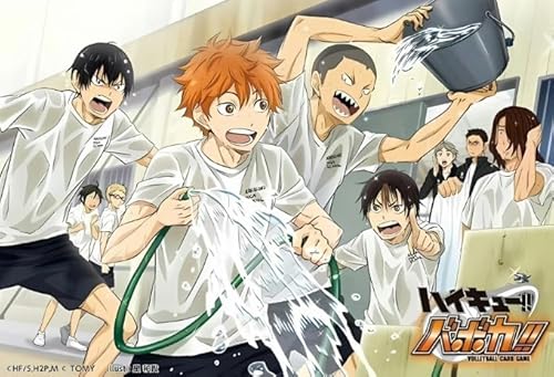 WDZFF Puzzle 1000 Teile Colorful Classic Japanese Anime Haikyuu!! Posters Ability Game Für Die Ganze Familie Erwachsene Qw214Yz von WDZFF