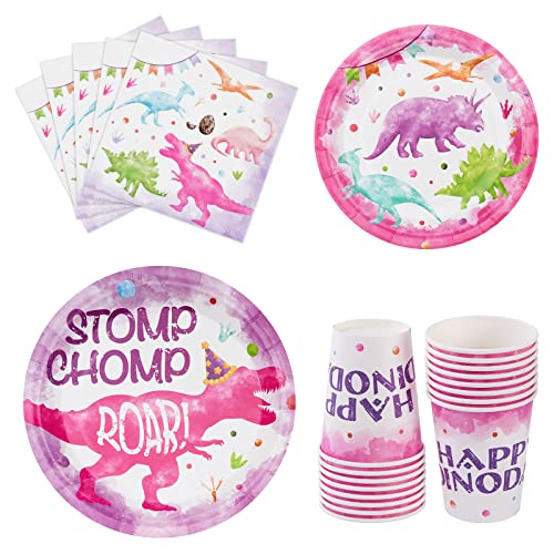 WERNNSAI Pink Dinosaurier-Partyzubehör – 64 Stück Dinosaurier Geburtstag Party Teller Becher Servietten Geschirr für Mädchen Kinder Geburtstag Party Supplies Pink Dinosaurier Party Dekorationen für 16 von WERNNSAI