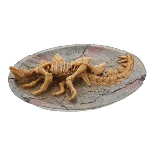 WESIEVYA 1stk Dinosaurier-fossil-Modell Wand Schmücken Hängendes Modell Aquarium- Dinosaurier-fossil-wandkunst Dinosaurier Schmücken Skulpturen Wohnkultur Wandschmuck Orange Harz von WESIEVYA