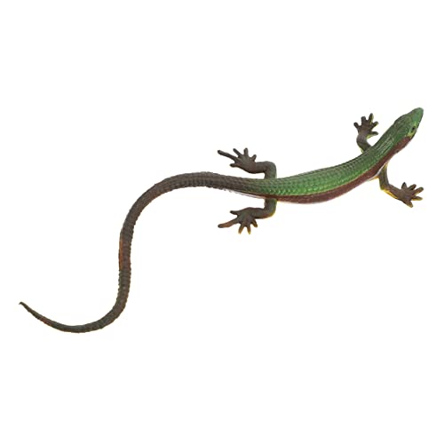 WESIEVYA Künstliche Modellspielzeug Realistische Reptilfigur aus Kunststoff für Garten und Balkon Dekoration Lebensechtes Design Lernspielzeug WESIEVYA Künstliche Modellspielzeug Realistische Reptilfigur aus Kunststoff für Garten und Balkon Dekoration Lebensechtes Design Lernspielzeug von WESIEVYA