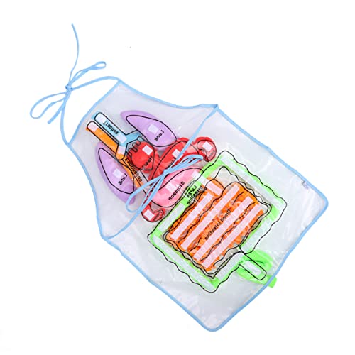 WESIEVYA Unterrichtsschürze Dartscheibe Kinder Bildungsschürze Kinder Lernen Schürze Lehrmittel Für Die Kindheit Schürze Für Menschliche Organe von WESIEVYA