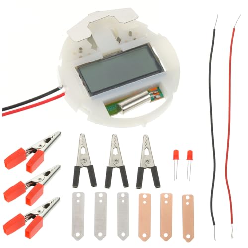 WHAMVOX 1 Satz Obst-Experiment Experimentelle DIY-obstbatterie Fruchtbatterie-kit Für Studenten Lernspielzeug Kartoffeluhr Puzzle-Spielzeug Kits Für Kinder Uhr-kit Kinderspielzeug Metall von WHAMVOX