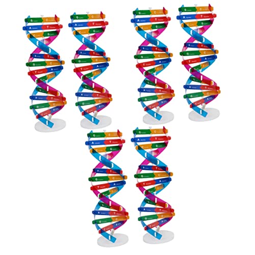 WHAMVOX 6 STK Unterrichtshilfen Für Den Unterricht Doppelt DNA-molekülmodell Lernhilfen Für Menschliche DNA DNA-anzeigemodell DNA-modellbausatz Lehrmittel Für Die DNA-Wissenschaft Deko Abs von WHAMVOX