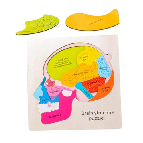 WHAMVOX Holz Gehirnstruktur Puzzle Mehrschichtiges Lernspiel für Ab Jahren Pädagogisches Montessori Lernspielzeug zur Kognitiven Farbenfrohes Gehirnmodell Puzzle für Jungen und Mädchen WHAMVOX Holz Gehirnstruktur Puzzle Mehrschichtiges Lernspiel für Ab Jahren Pädagogisches Montessori Lernspielzeug zur Kognitiven Farbenfrohes Gehirnmodell Puzzle für Jungen und Mädchen von WHAMVOX