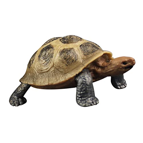 WHAMVOX Schildkröte Deko Deko Schildkröte Realistische Schildkröte Figurine Aus Dekorative Landtortue Für Und Ideal Als Oder Zur Verschönerung Von Garten Und Innenräumen Ca von WHAMVOX