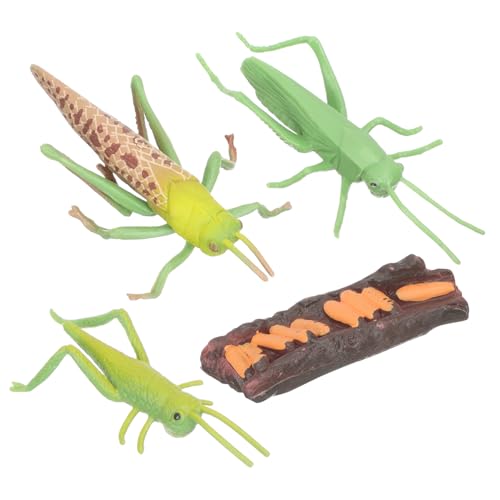 WHAMVOX Tierische Wachstumszyklus Modelle Lernspielzeug für Pädagogisch Montessori Frühe Insekten und Schnecken Realistische Nachbildung Spielerisch Entdecken WHAMVOX Tierische Wachstumszyklus Modelle Lernspielzeug für Pädagogisch Montessori Frühe Insekten und Schnecken Realistische Nachbildung Spielerisch Entdecken von WHAMVOX