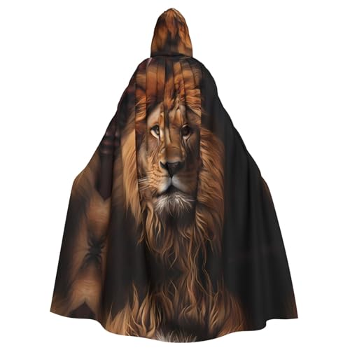 WHJYYXDE The Lion's Gaze Printing Halloween Hooded Cape Hooded Cloak Suitable for cosplay costumes, Christmas parties von WHJYYXDE