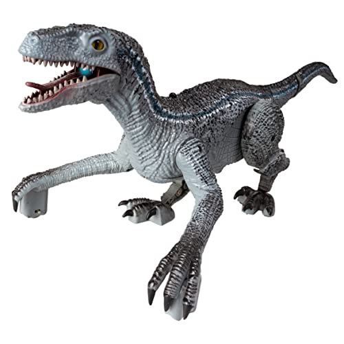 WILD PREDATORS - Velociraptor RC | Dinosaurier Spielzeug | Dinosaurier Spielzeug Ab 3 Jahre | Dino Spielzeug | Dinosaurier Ferngesteuert | Dino Ferngesteuert | 35 cm von WILD PREDATORS