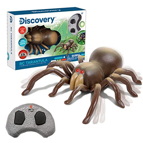 Wild Predators - Ferngesteuerte Tarantula | Spielzeug für Kinder ab 8 Jahren | ferngesteuerte Spinne | Spielzeug für Kinder von 8 Jahren | Spielzeug 8 Jahre | für 8 9 10 11 12 Jahre von WILD PREDATORS