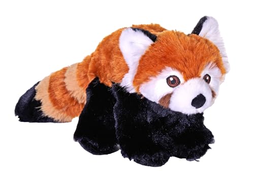 Wild Republic Cuddlekins Eco Mini Rotpanda, Kuscheltier, 20 cm, Plüschtier, Füllung besteht aus gesponnenen recycelten Wasserflaschen, umweltfreundlich, Roter Panda von WILD REPUBLIC