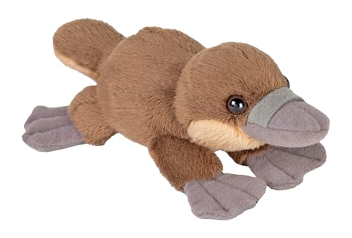 Wild Republic Pocketkins Eco Platypus Stofftier, 12,7 cm, Plüschtier, umweltfreundlich von WILD REPUBLIC