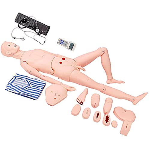 Patient Care Manikin Multifunktionales menschliches anatomisches Modell – 170 cm menschliche Puppe, Demonstration mit Blutdruckmessung von WJYLM