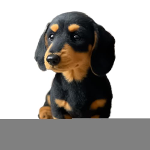 WJnflQN Spielzeug Welpe, Stressabbau Spielzeug Hund, Kuscheltier Für Rucksack Freunde Zuhause Kinder Reise Jubiläen Arbeitsplatz Geburtstag Erwachsene WJnflQN Spielzeug Welpe, Stressabbau Spielzeug Hund, Kuscheltier Für Rucksack Freunde Zuhause Kinder Reise Jubiläen Arbeitsplatz Geburtstag Erwachsene von WJnflQN