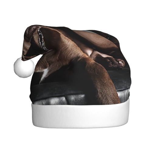 WKSZCYHLKL Braune Labrador Retriever bedruckte Weihnachtsmütze Weihnachtsmannmütze für Erwachsene Unisex Weihnachtsmannmütze Urlaub Weihnachtsmütze von WKSZCYHLKL