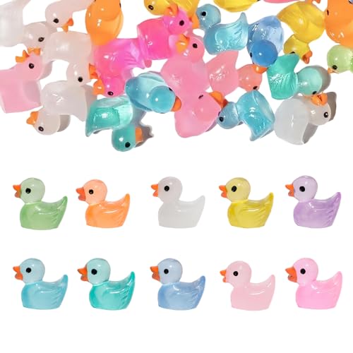 100 Stück Mini Enten,Kleine Enten,Minienten,Mini Ducks Leuchtende Harzenten,Miniatur Figuren,Resin Mini-Ente,Lustig Miniaturfiguren,DIY Mini-Harz-Zubehör für GartenLandschaft Schreibtisch Decorations 100 Stück Mini Enten,Kleine Enten,Minienten,Mini Ducks Leuchtende Harzenten,Miniatur Figuren,Resin Mini-Ente,Lustig Miniaturfiguren,DIY Mini-Harz-Zubehör für GartenLandschaft Schreibtisch Decorations von WLVinson