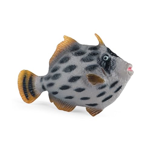 WNXGNHO Kunststoff Fisch Modell Desktop Home Ornament Realistische Künstliche Hand Farbe Erwachsene Sammlung Handwerk Aquarium Spielzeug von WNXGNHO