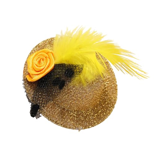 WNXGNHO Viktorianische Party Fascinator Hüte Für Mädchen Und Frauen Kleine Clip On Haarteile Kostüm Haarnadel Haarzubehör von WNXGNHO